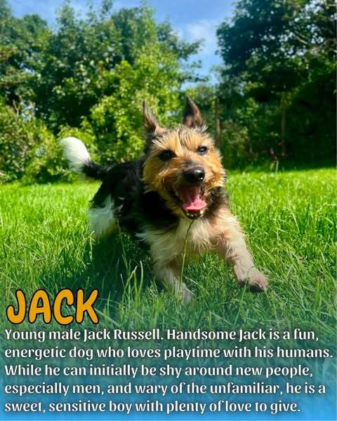 jack