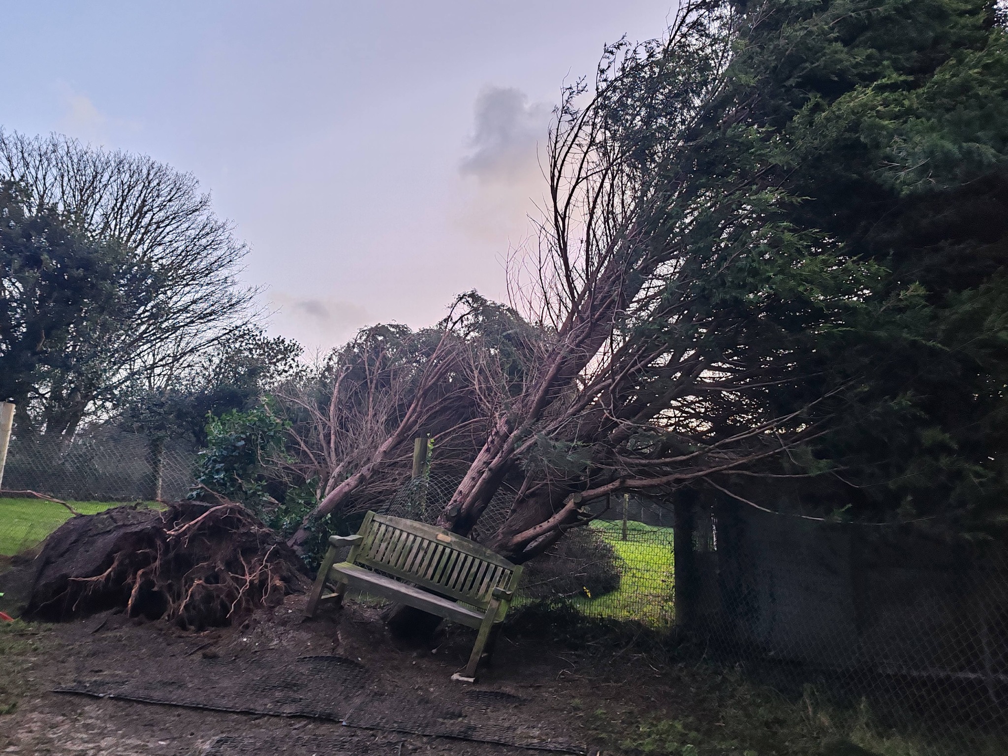 Storm Goretti Damage Appeal