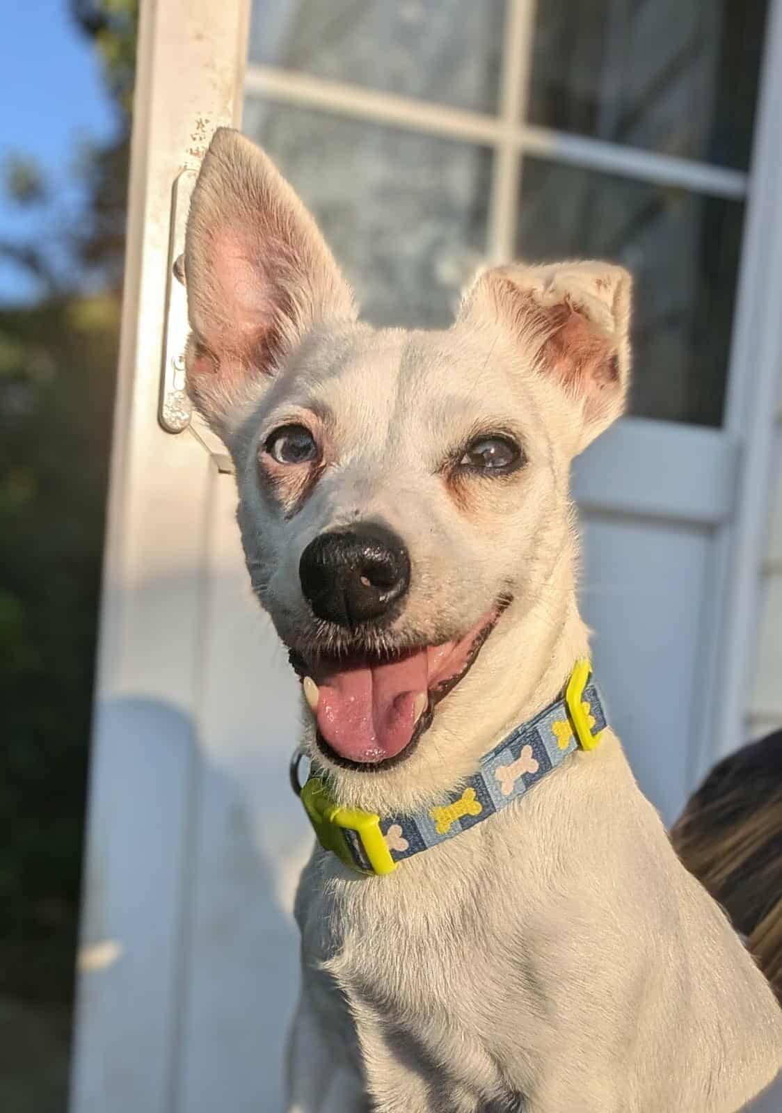 A big thank you from Poppy